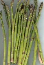 Asparagus