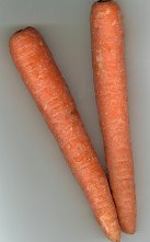 Carrot