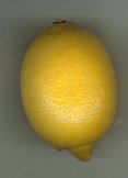 lemon