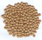 Lentils