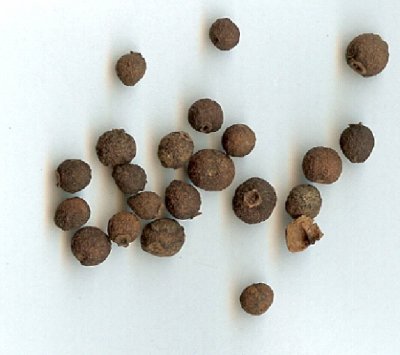 picture of Allspice