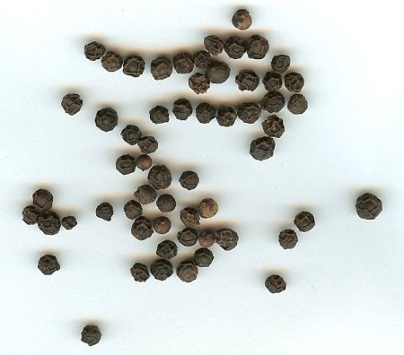 Black Pepper