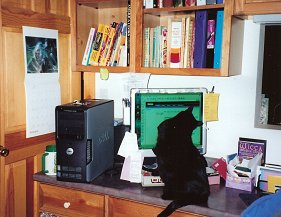 cadeau batting the monitor