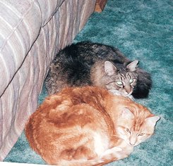 Freckles and Skitter