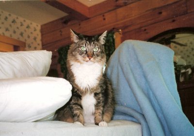 picture of freckles