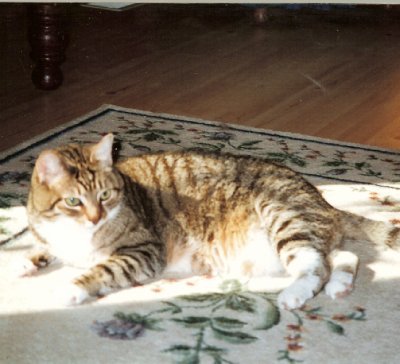 picture of Mimi