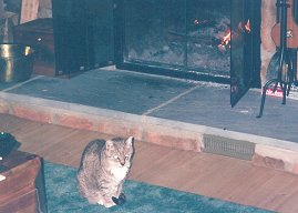 Mimi