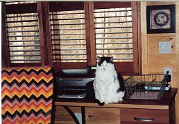 Puck on desk