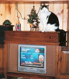 Pucksitting on the TV